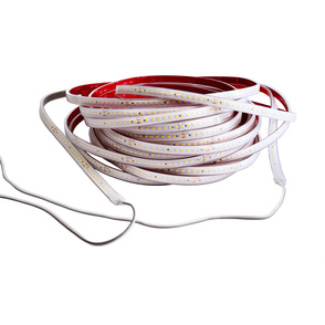 LED Stripes ab IP44 bei Hornauer Elektrotechnik in Pösing